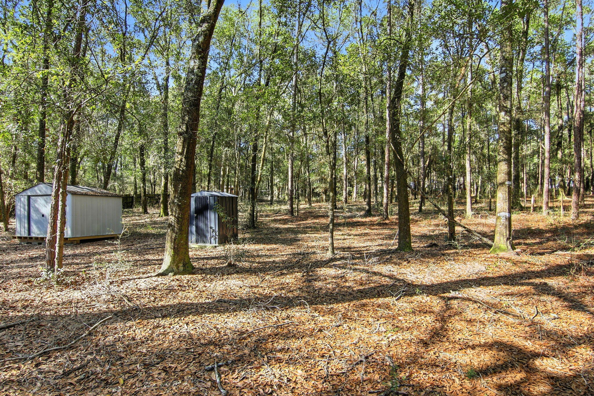 6108 Old River Road Baker, FL 32531 - Photo 35 of 40 a backyard of a house with lots of green space