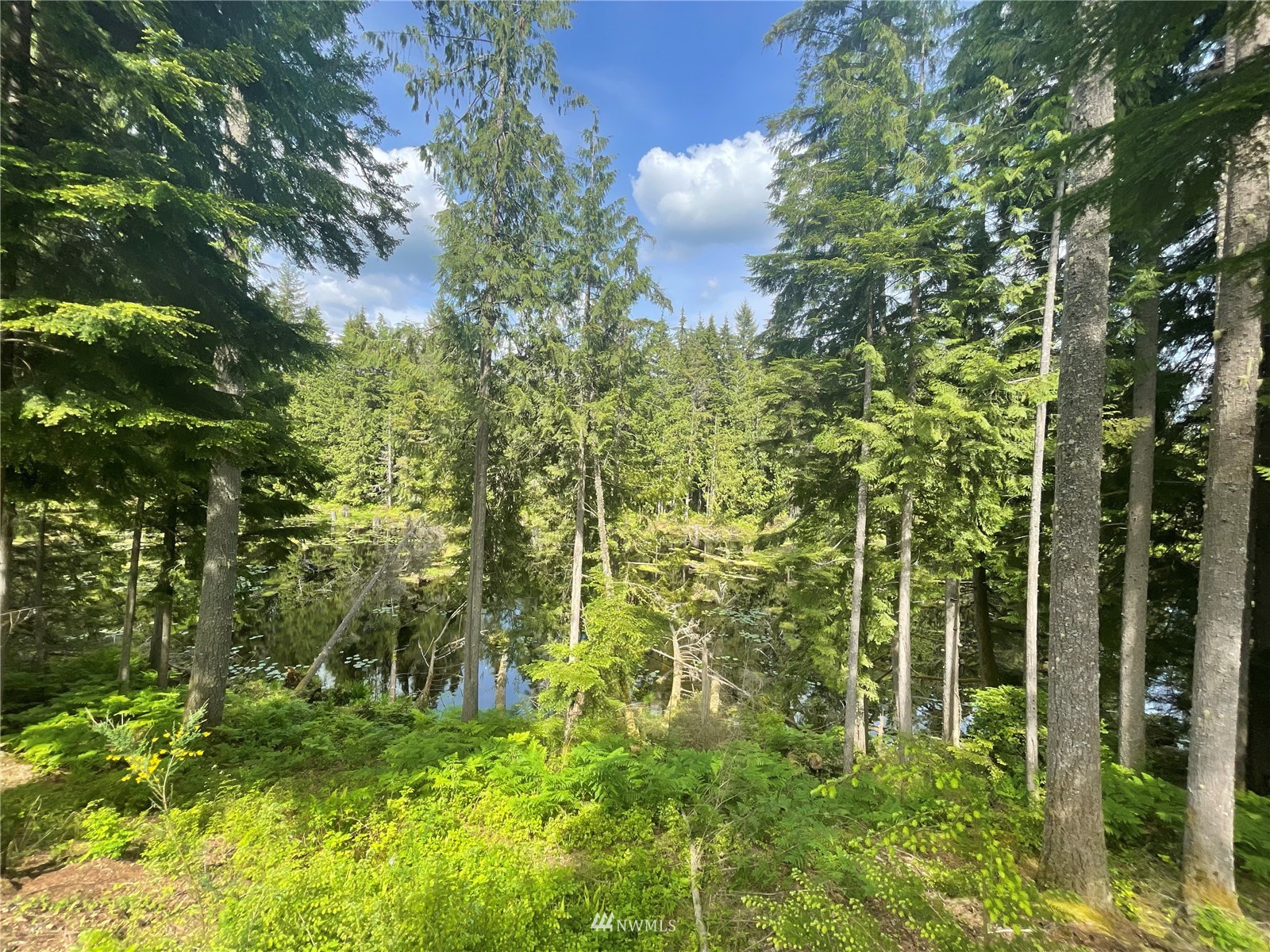 22827 North Carpenter Road Snohomish, WA 98290 - Photo 25 of 27 Gallery Image 25