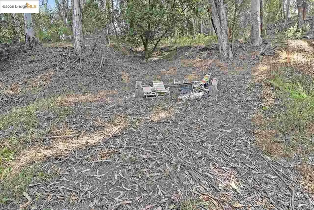 a view of a yard with some trees
