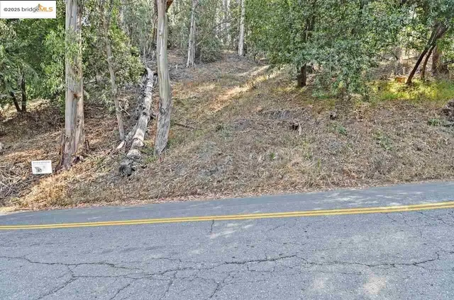 a view of a yard with large trees