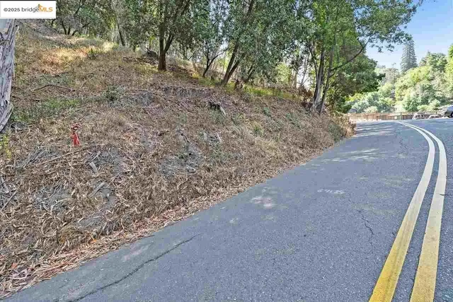 a view of a dry yard with trees and stairs
