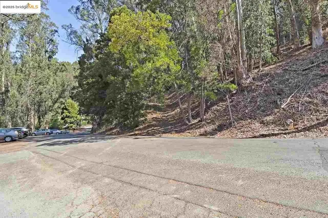 a view of a yard with a tree