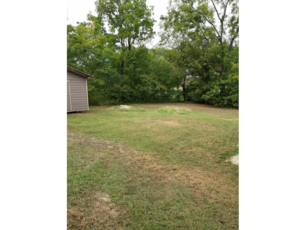 163 Ridge Road Bean Station, TN 37708 - Photo 5 of 25 Photo 5