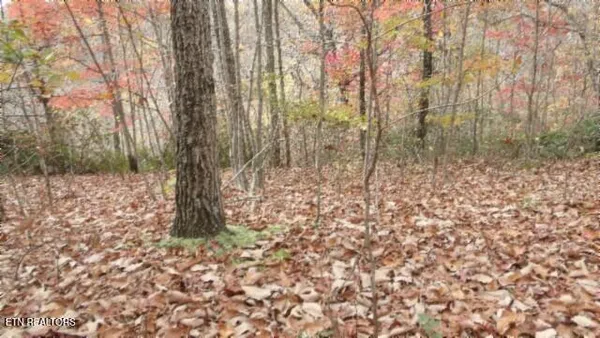 $49,000 | Lot 349 Drew Court, Smithville, TN 37166
