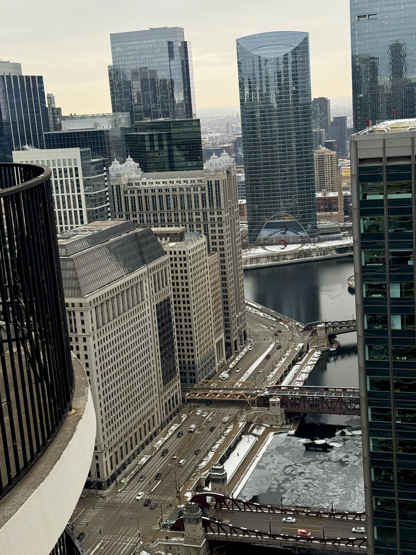 300 North State Street, Unit 5803 Chicago, IL 60654 - Photo 11 of 18