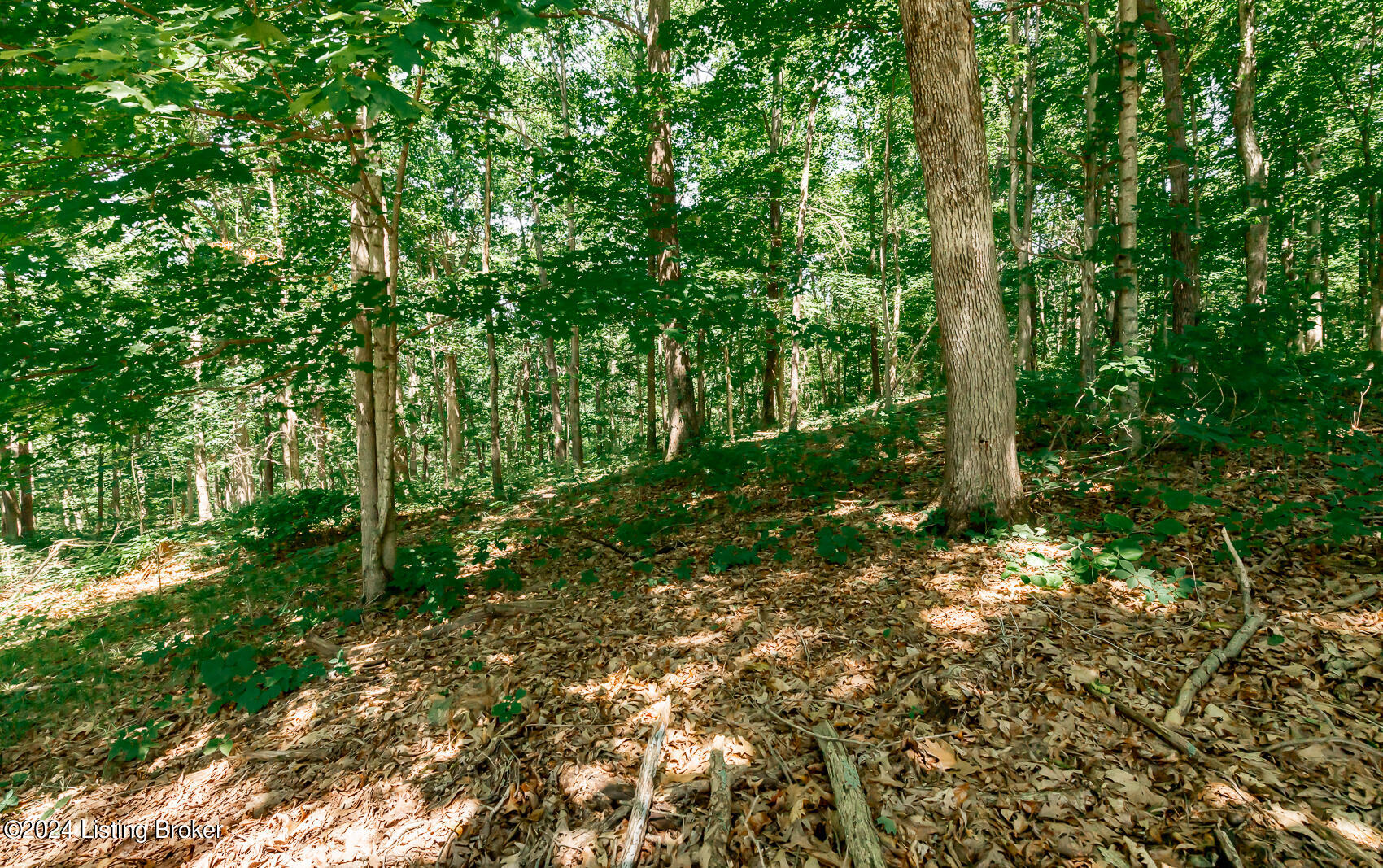 2163 Concord Road Falls Of Rough, KY 40119 - Photo 56 of 56 2163 Concord Rd (26)