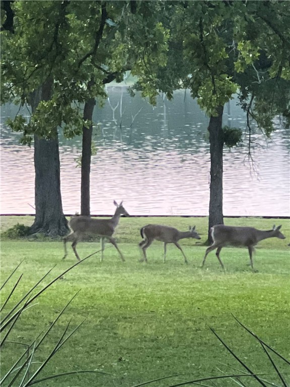 405 Lcr 737 Thornton, TX 76687 - Photo 50 of 59