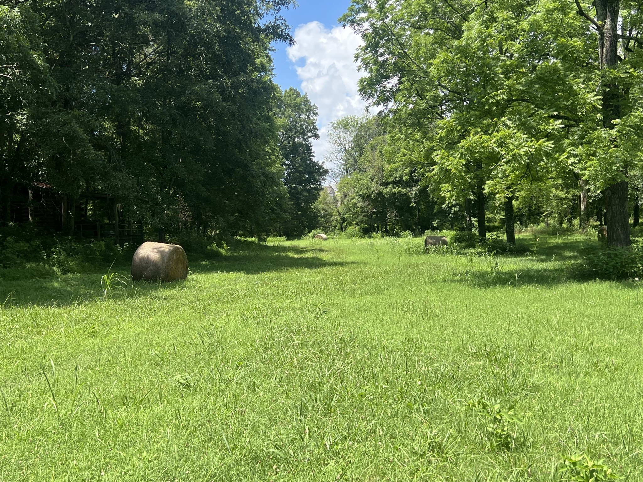 0 John Sharp Road Spring Hill, TN 37174 - Photo 11 of 14 a backyard of a house with barbeque oven table and chairs