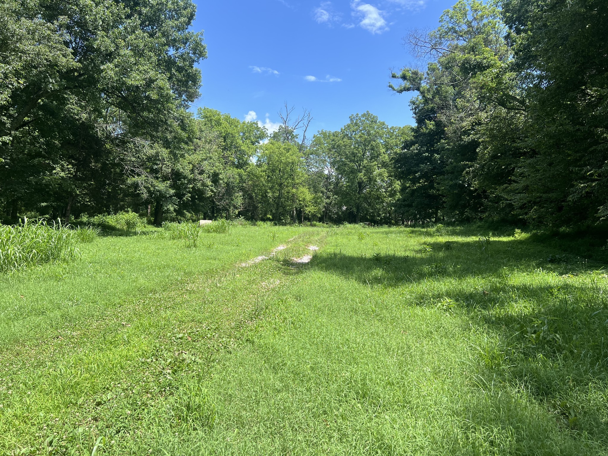 0 John Sharp Road Spring Hill, TN 37174 - Photo 13 of 14 a backyard of a house with lots of green space