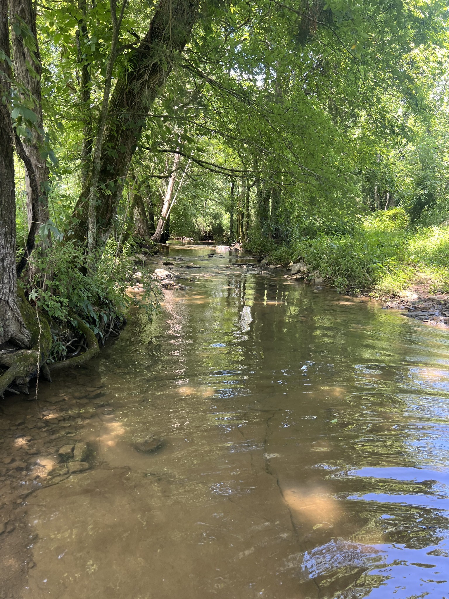 0 John Sharp Road Spring Hill, TN 37174 - Photo 14 of 14 a view of lake view