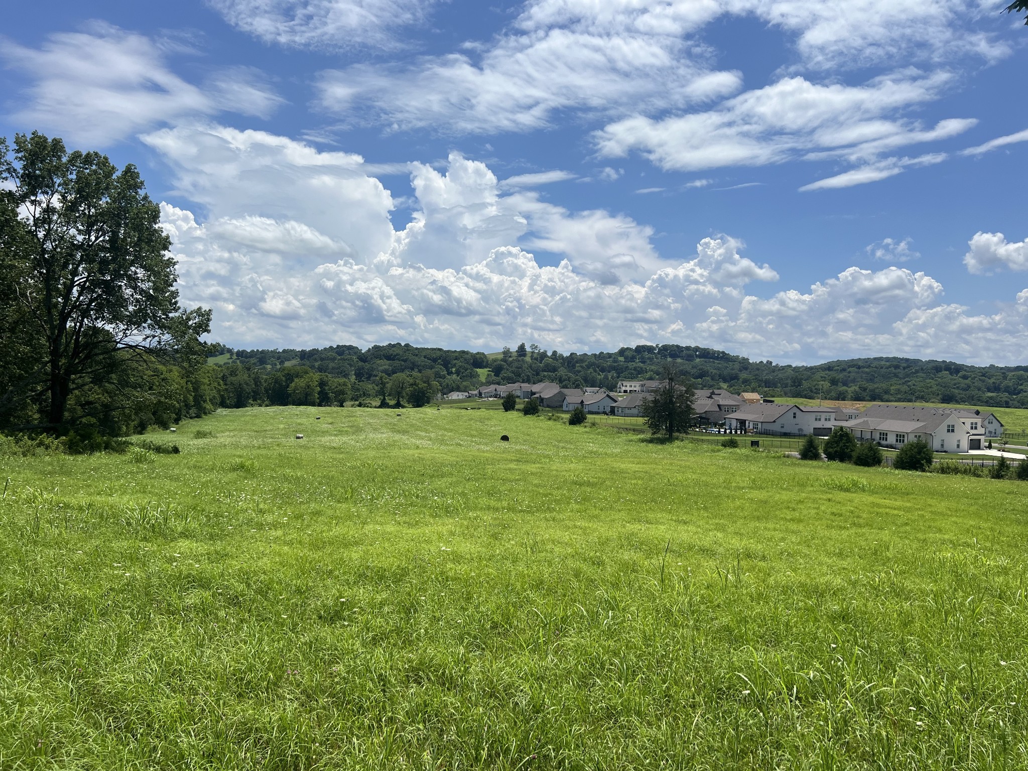 0 John Sharp Road Spring Hill, TN 37174 - Photo 3 of 14 a view of a garden