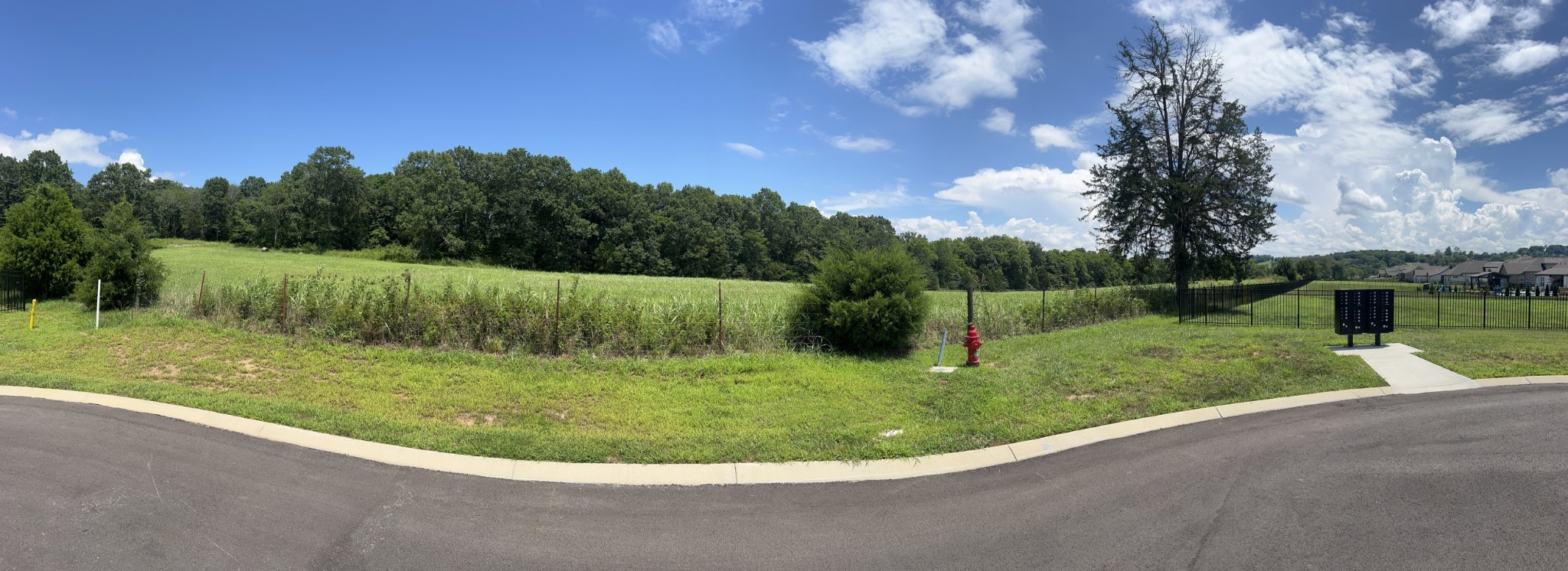 0 John Sharp Road Spring Hill, TN 37174 - Photo 6 of 14 a view of a back yard