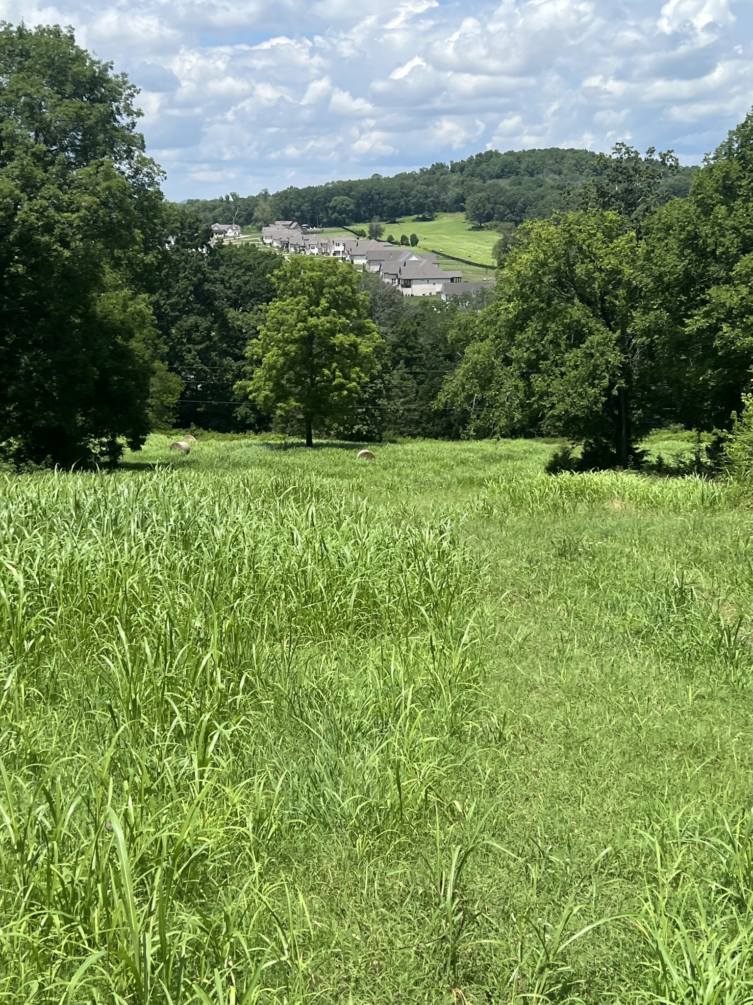 0 John Sharp Road Spring Hill, TN 37174 - Photo 10 of 14 a view of outdoor space and yard