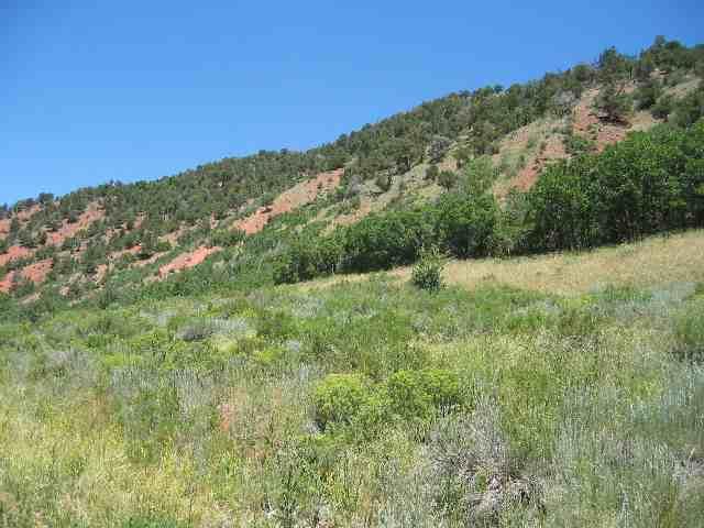 408 Snowmass Creek Road, Unit ROAD Snowmass, CO 81654 - Photo 3 of 7 Additional Photo