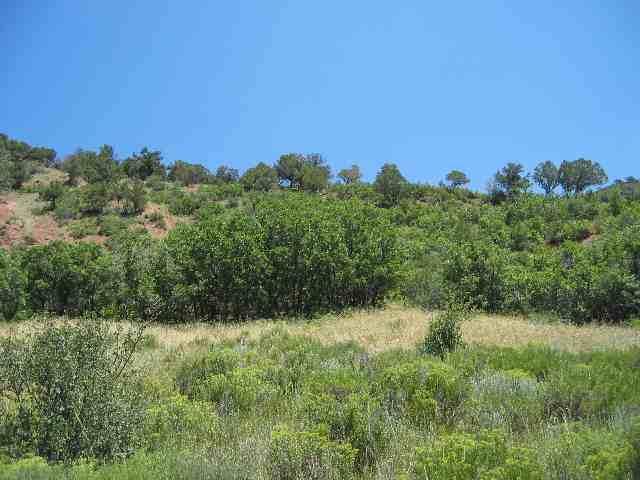 408 Snowmass Creek Road, Unit ROAD Snowmass, CO 81654 - Photo 4 of 7 Additional Photo