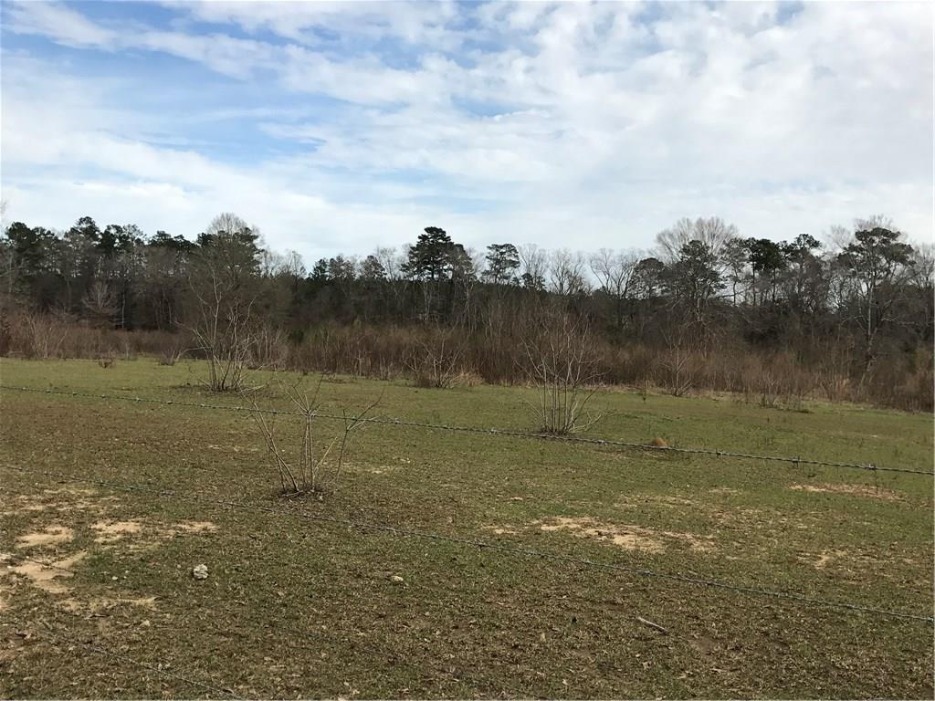 16399 Clement Road Independence, LA 70443 - Photo 16 of 16
