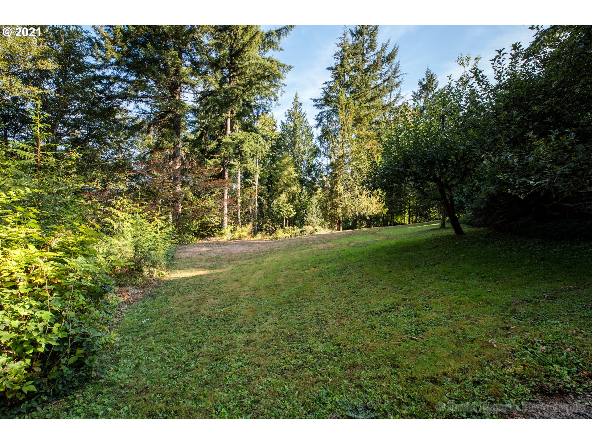 22868 Cedar Grove Road Clatskanie, OR 97016 - Photo 18 of 25 Gallery Image 18