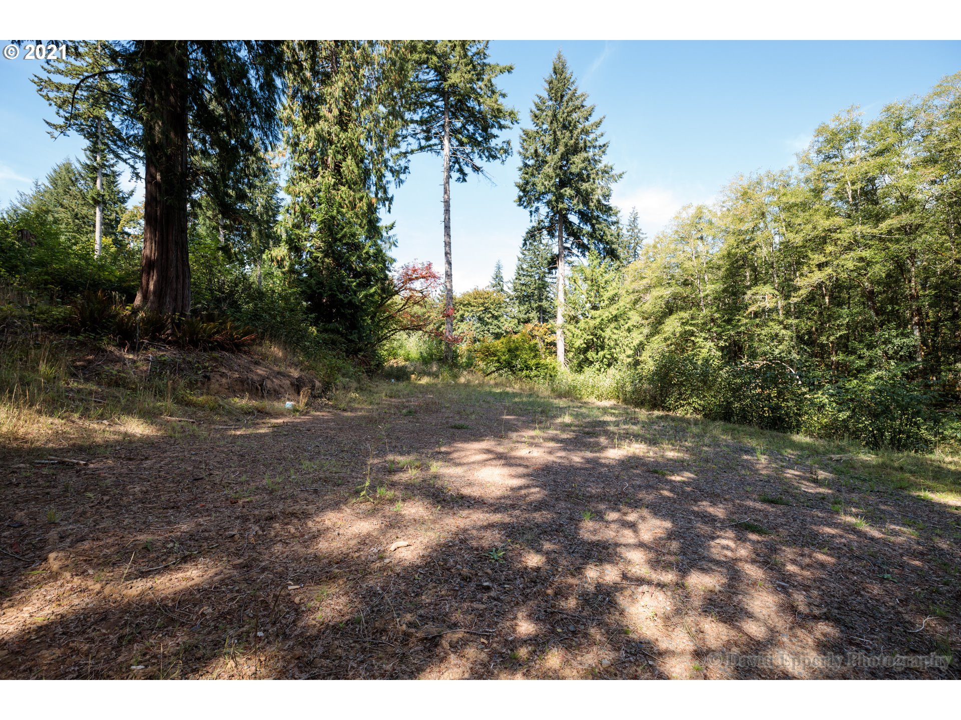 22868 Cedar Grove Road Clatskanie, OR 97016 - Photo 19 of 25 Gallery Image 19