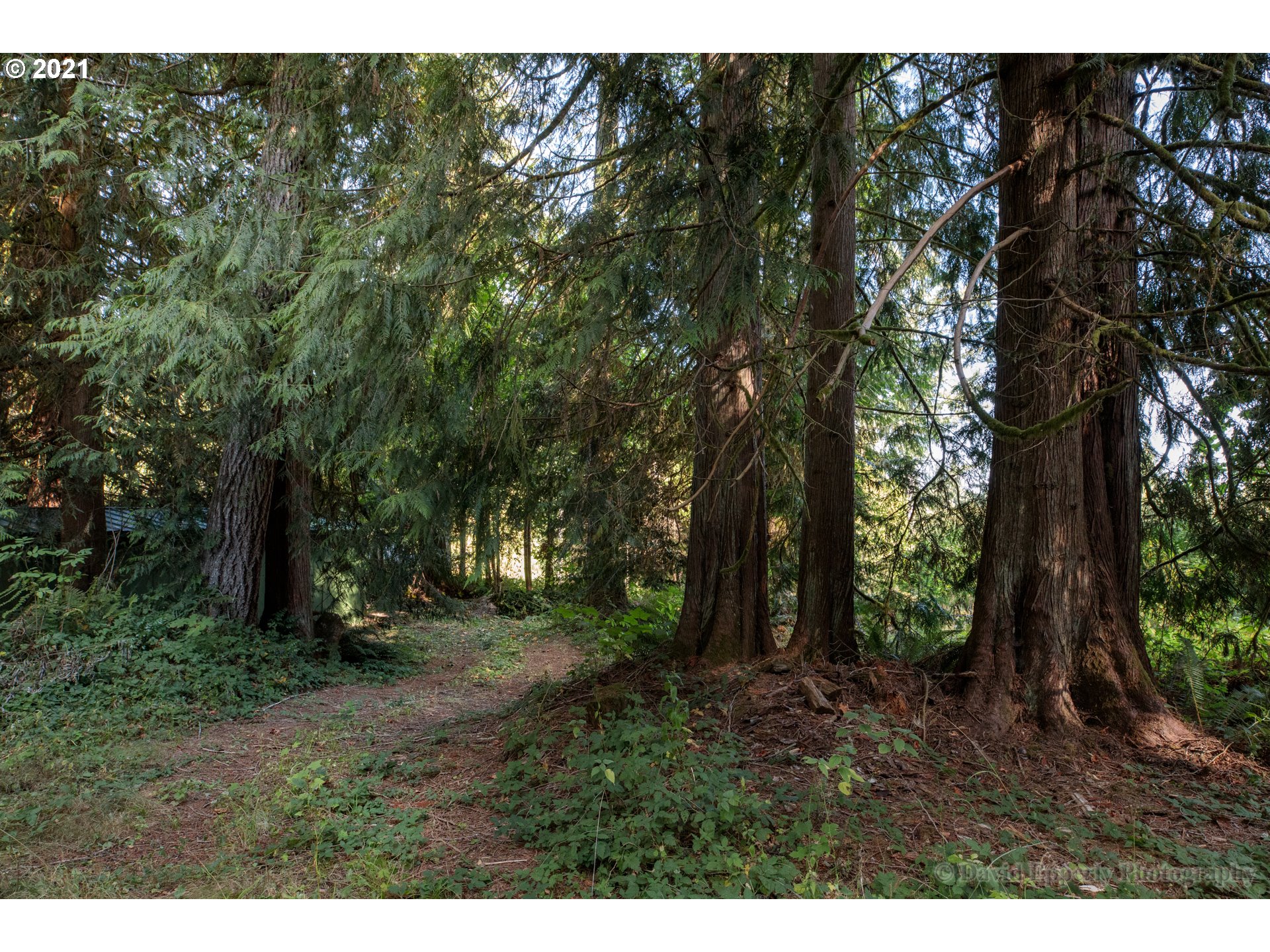 22868 Cedar Grove Road Clatskanie, OR 97016 - Photo 20 of 25 Gallery Image 20