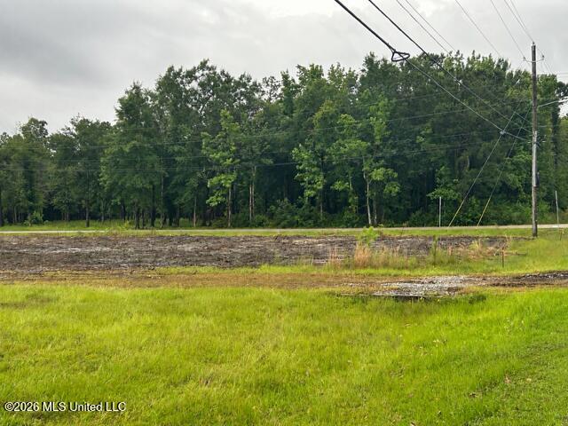 Iki Place Diamondhead, MS 39525 - Photo 3 of 4 Road view