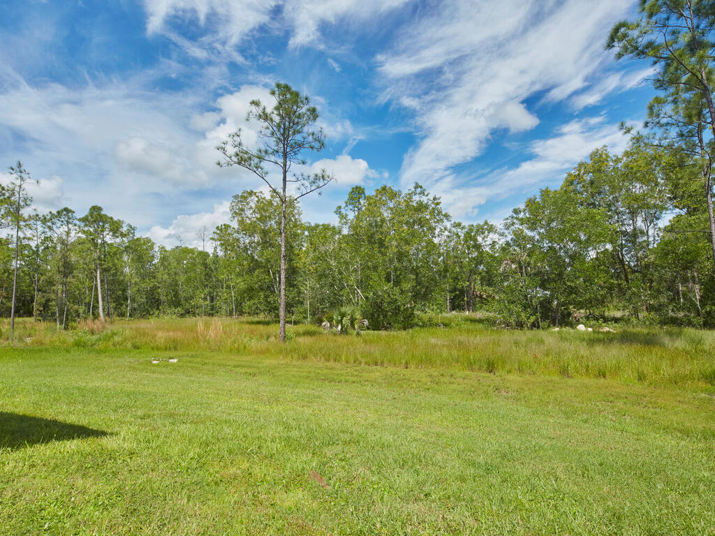 3677 Oil Well Road Naples, FL 34120 - Photo 21 of 28 a view of a yard with a house