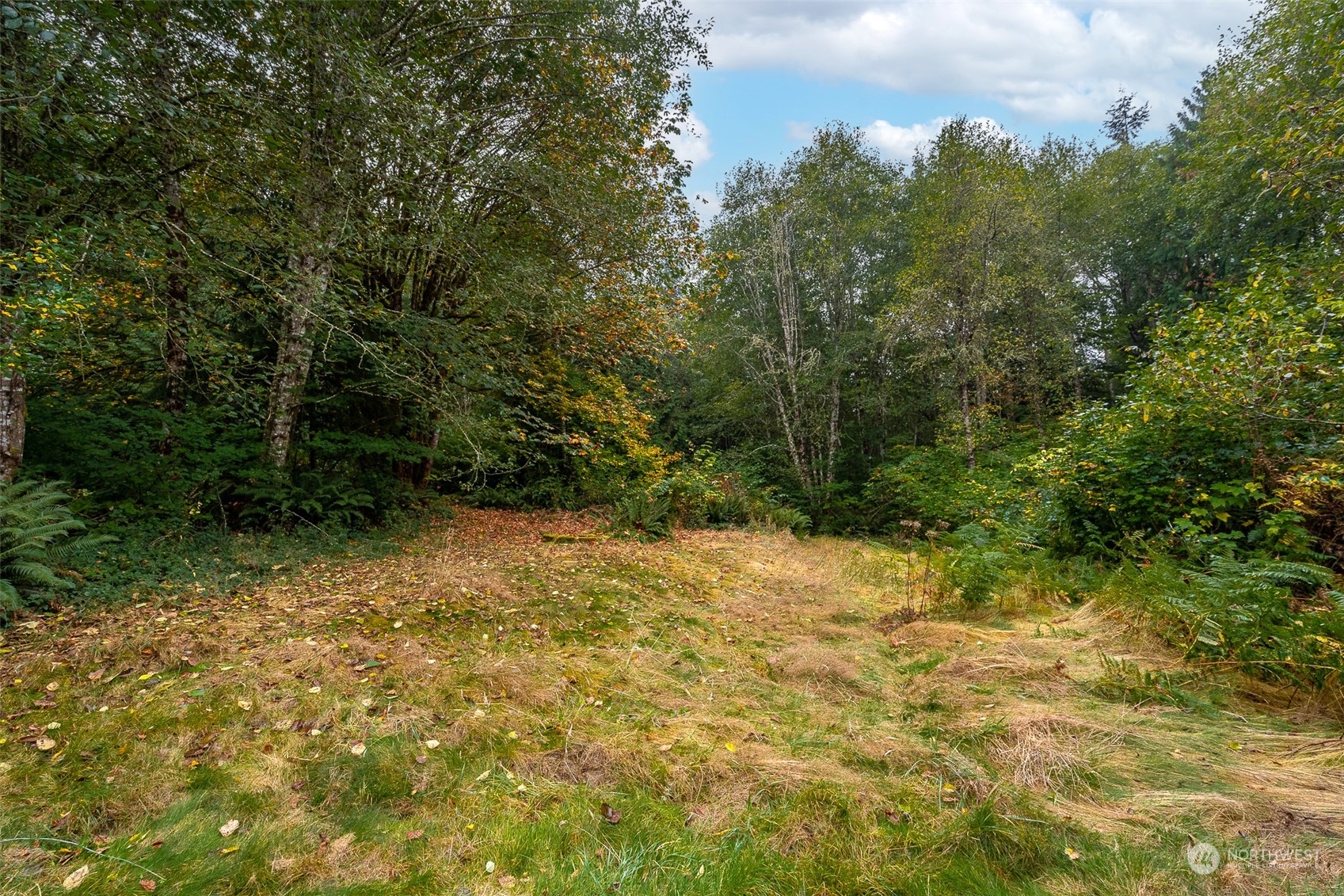 317-41 Beck Road Onalaska, WA 98570 - Photo 35 of 40 Gallery Image 35
