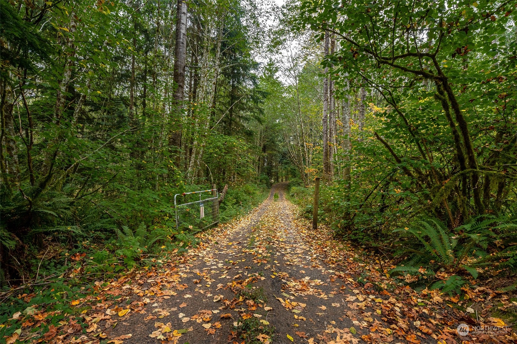 317-41 Beck Road Onalaska, WA 98570 - Photo 36 of 40 Gallery Image 36