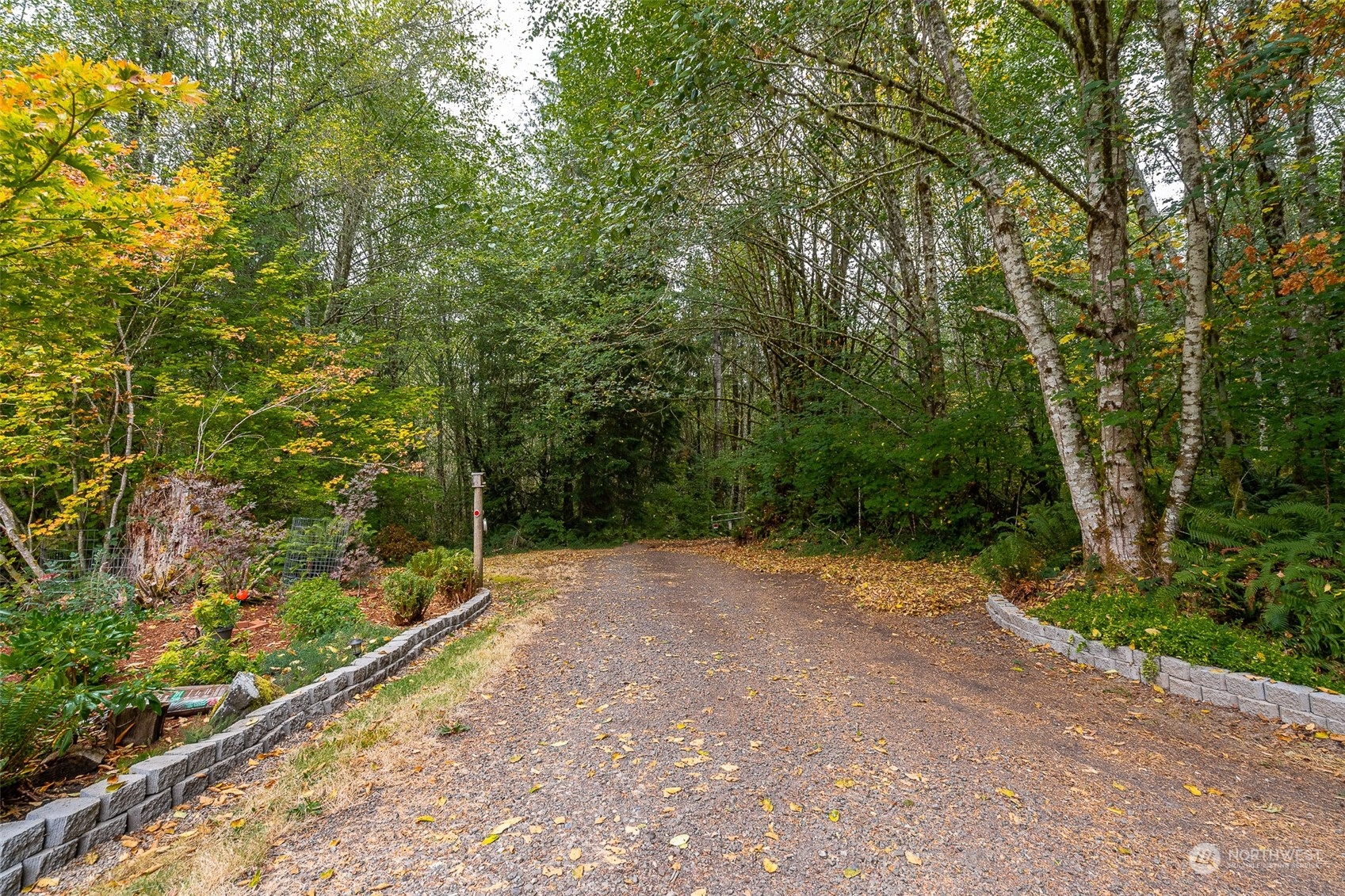 317-41 Beck Road Onalaska, WA 98570 - Photo 39 of 40 Gallery Image 39