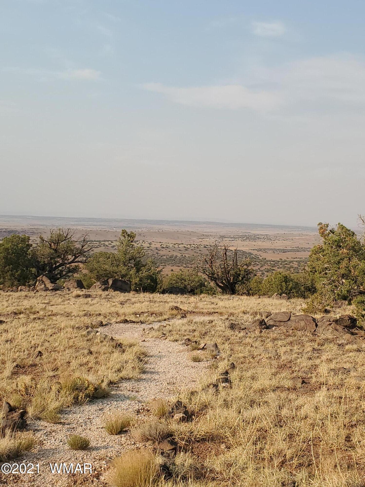 5 County Road Concho, AZ 85924 - Photo 3 of 7