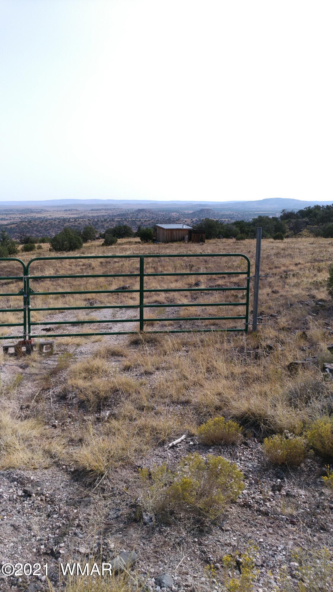 5 County Road Concho, AZ 85924 - Photo 4 of 7