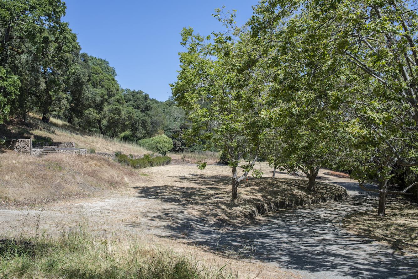 308 Olive Hill Lane Woodside, CA 94062 - Photo 3 of 9 a view of a forest with trees