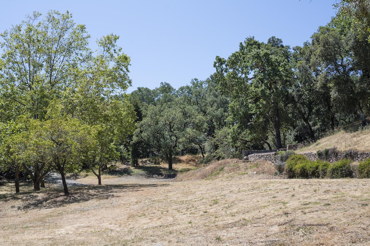 308 Olive Hill Lane Woodside, CA 94062 - Photo 6 of 9