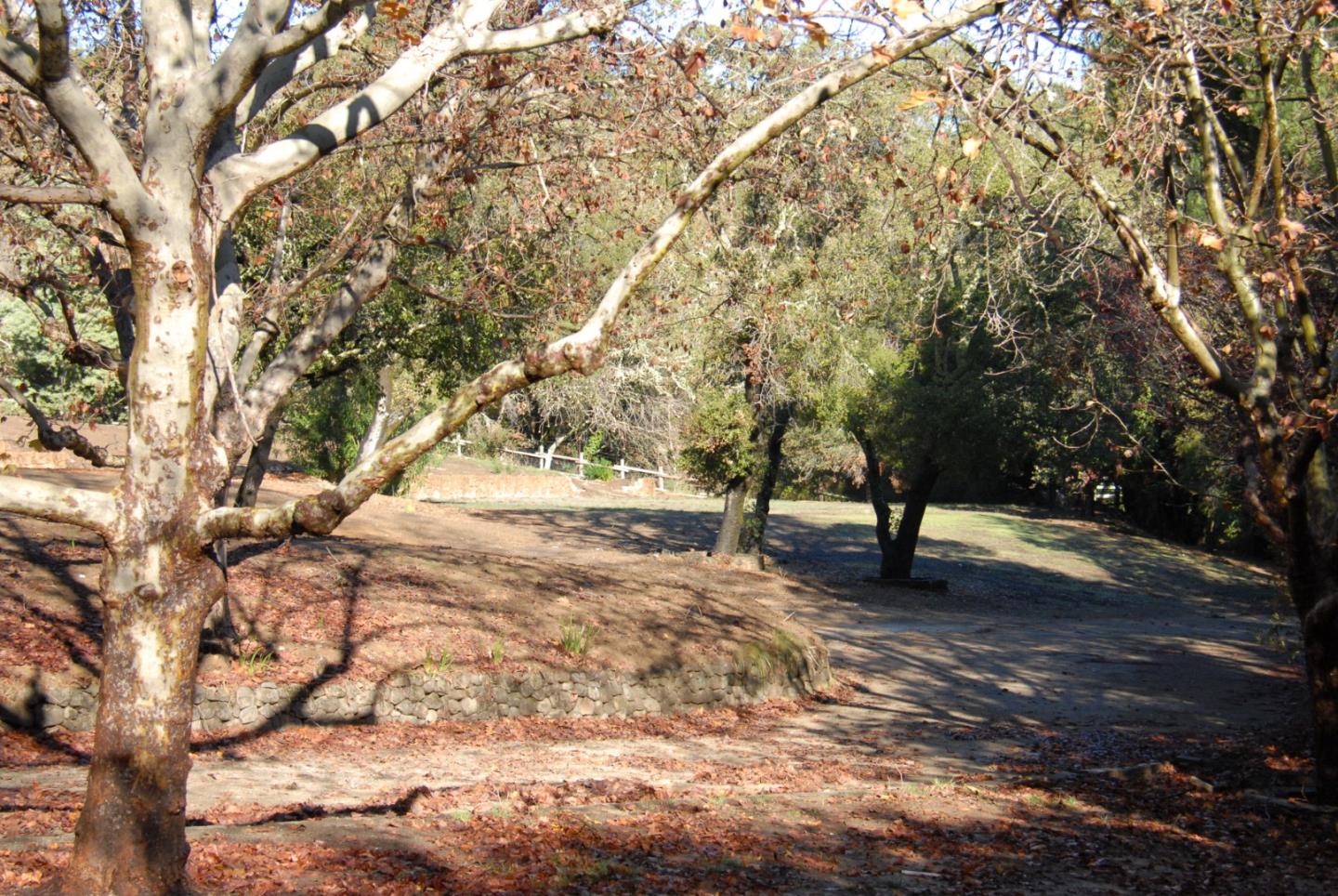 308 Olive Hill Lane Woodside, CA 94062 - Photo 7 of 9 a view of outdoor space with trees