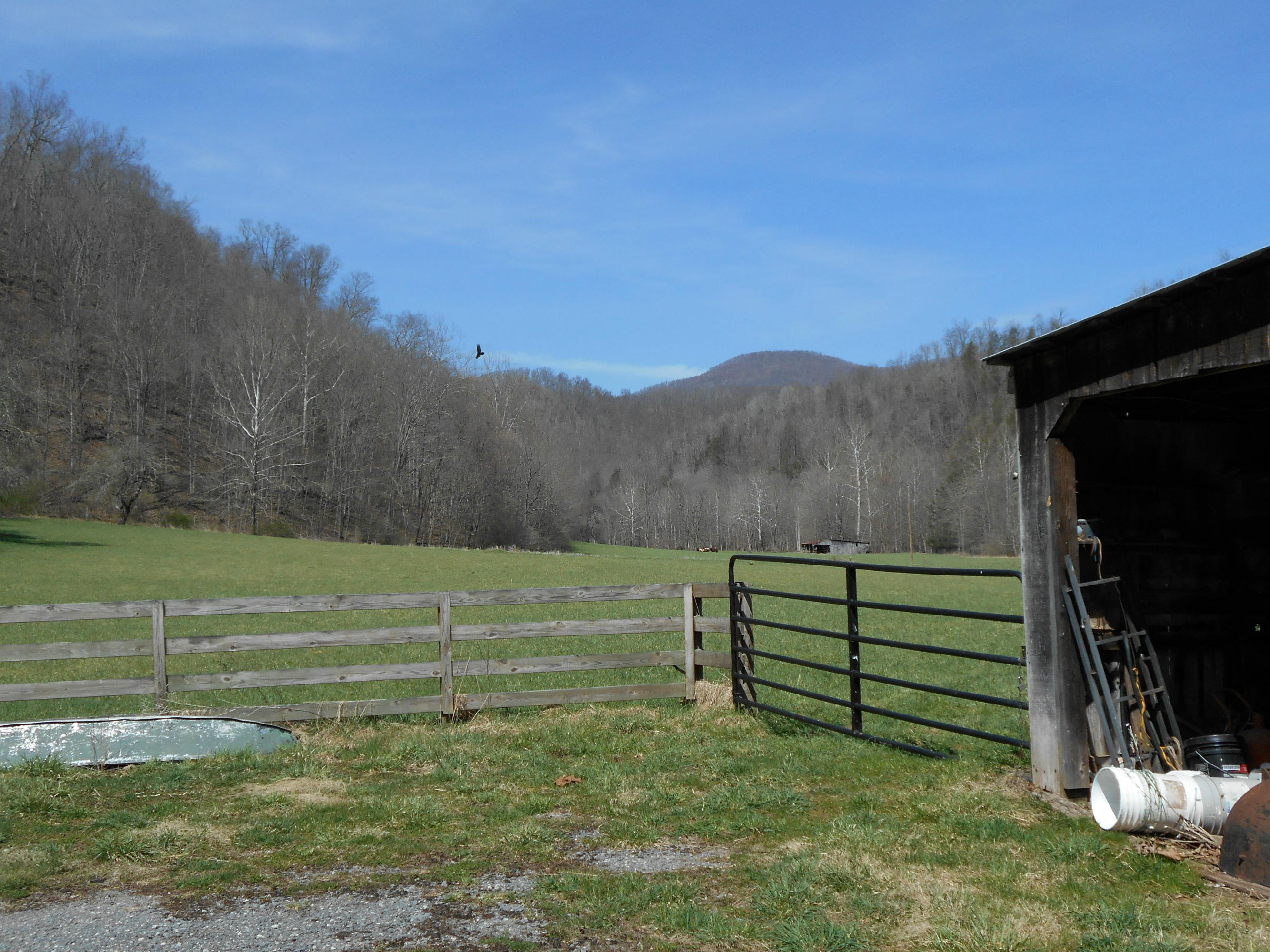 Hc67 Robins Fork Road Renick, WV 24966 - Photo 4 of 26 Gallery Image 4