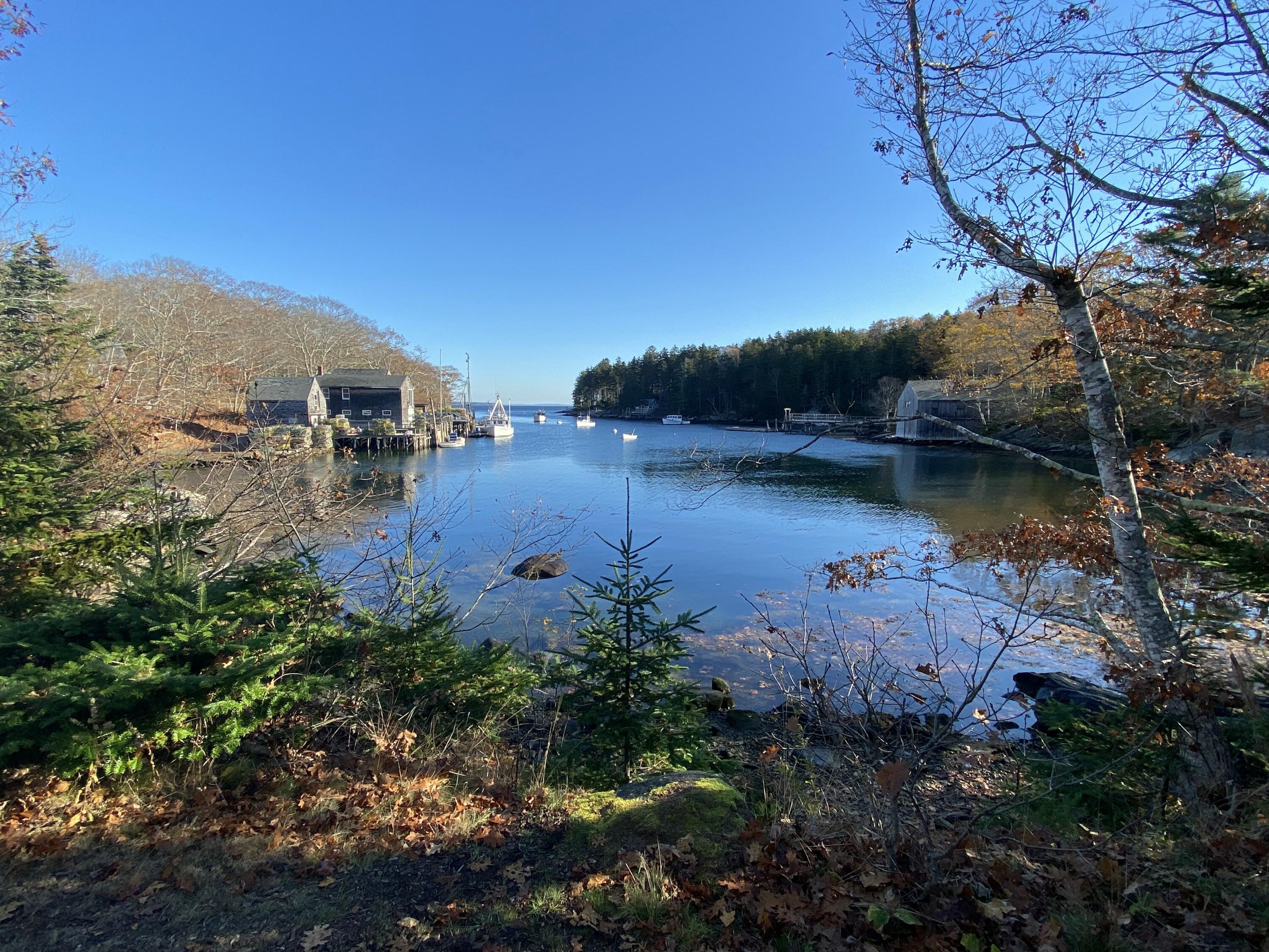 42 Old Mill Road New Harbor, ME 04554 - Photo 57 of 65 Back Cove