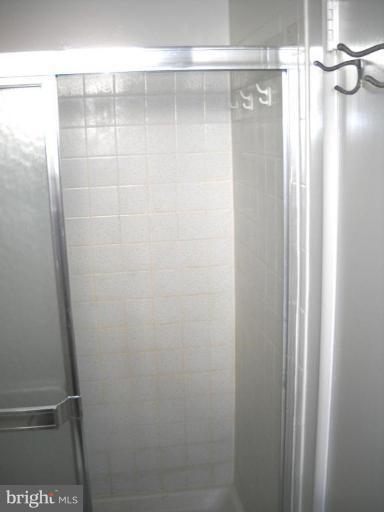 701 Cannon Road Silver Spring, MD 20904 - Photo 17 of 20 Master Bath #2