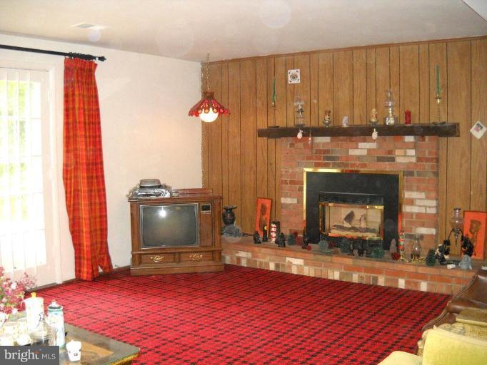 701 Cannon Road Silver Spring, MD 20904 - Photo 8 of 20 Fireplace