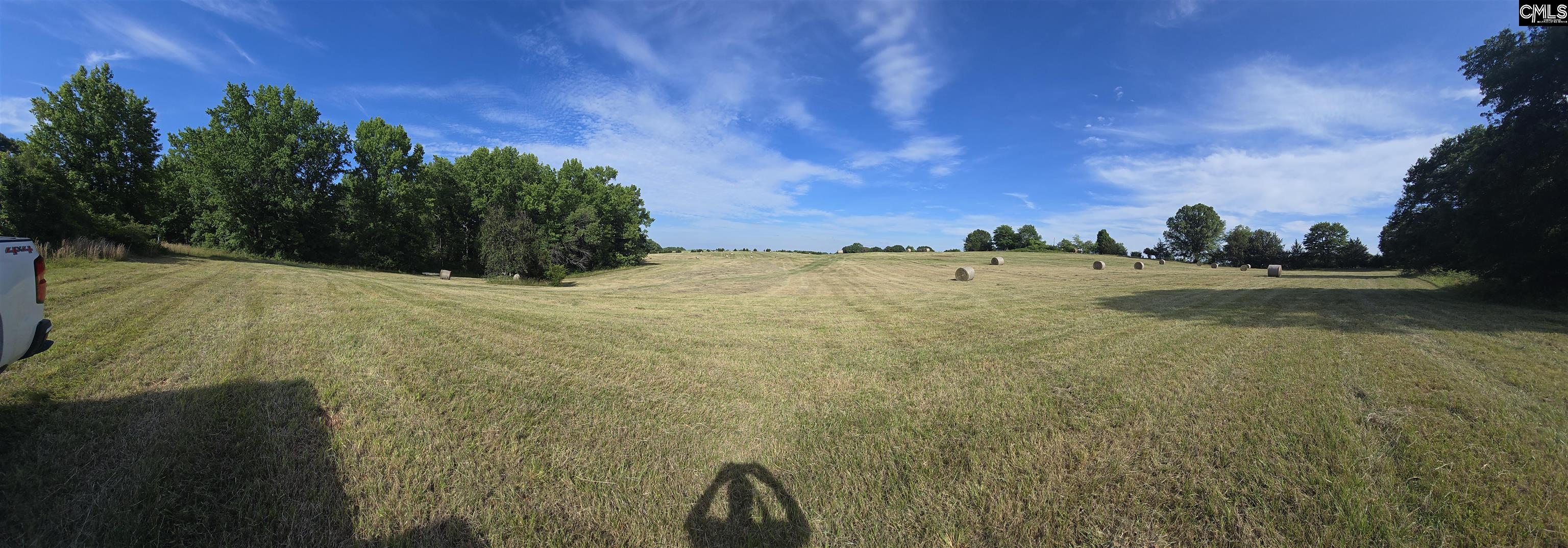 542 Pea Ridge Highway Jonesville, SC 29353 - Photo 69 of 72