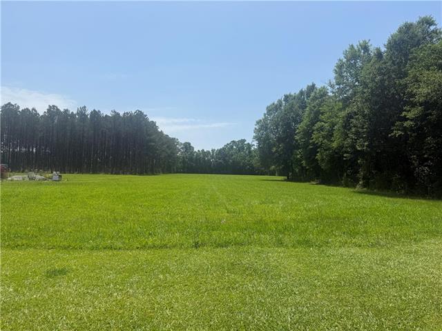 15196 East Yellow Water Road Hammond, LA 70403 - Photo 5 of 6 Gallery Image 5
