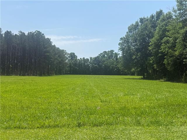 15196 East Yellow Water Road Hammond, LA 70403 - Photo 6 of 6 Gallery Image 6