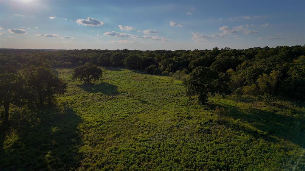 Tbd Bloodworth Road Bowie, TX 76230 - Photo 9 of 25