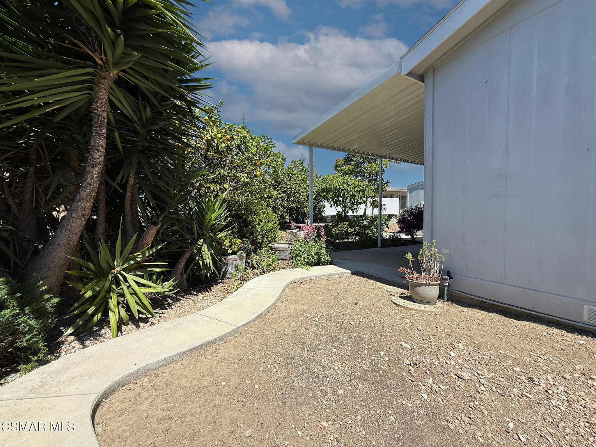 114 Stevens Circle Ventura, CA 93003 - Photo 21 of 29 a potted plants sitting in front of a house with a yard