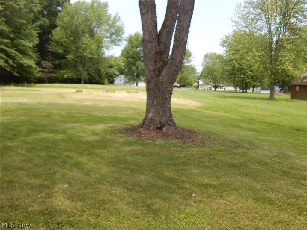 1410 Carson Salt Springs Road Lordstown, OH 44481 - Photo 8 of 8