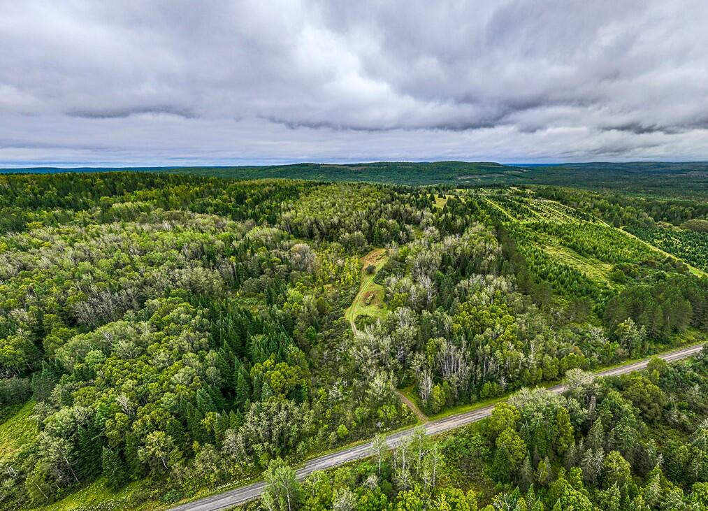23 Map Road Grand Isle, ME 04746 - Photo 50 of 50 CLR_Lot23_5_Grivois_GI-4_fullres