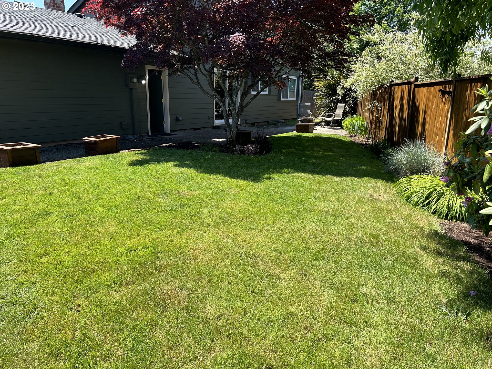 6558 Thurston Road Springfield, OR 97478 - Photo 23 of 26 a view of a backyard with a large tree
