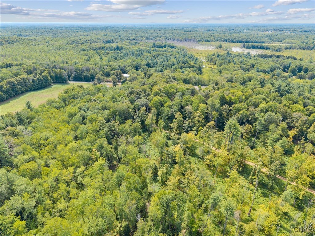 11 County Rte 11 West Monroe, NY 13167 - Photo 4 of 19