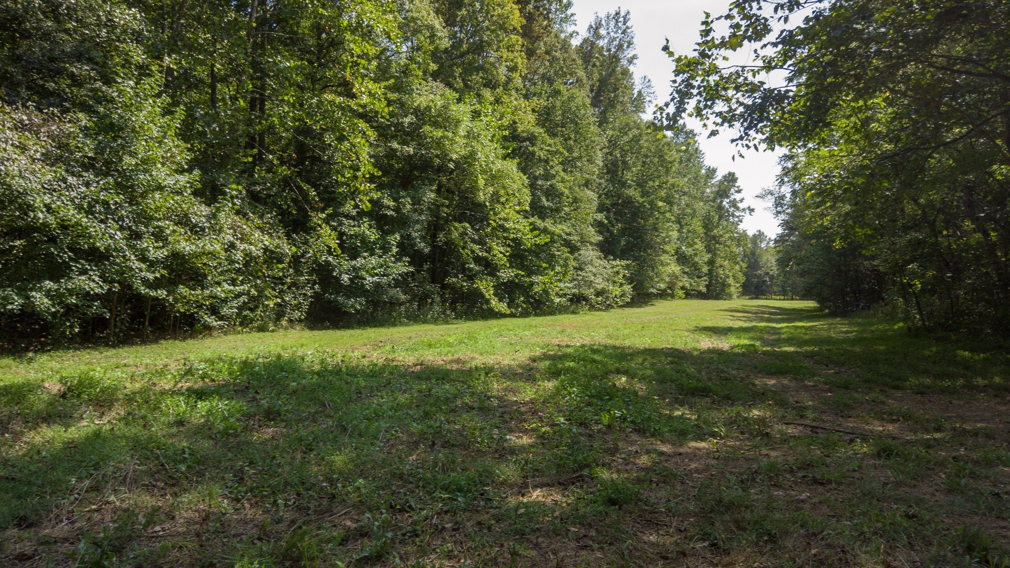 0 Scott Hollow Road Charlotte, TN 37036 - Photo 2 of 10 Gallery Image 2