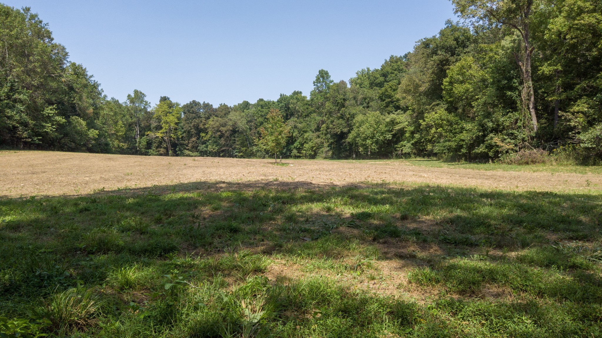 0 Scott Hollow Road Charlotte, TN 37036 - Photo 3 of 10 Gallery Image 3