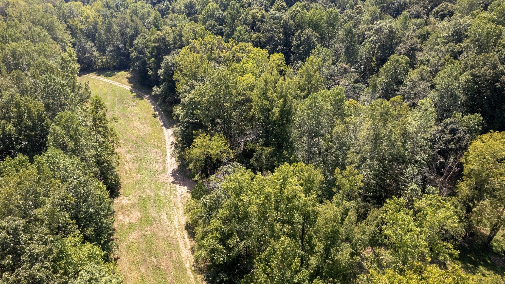 0 Scott Hollow Road Charlotte, TN 37036 - Photo 6 of 10 Gallery Image 6