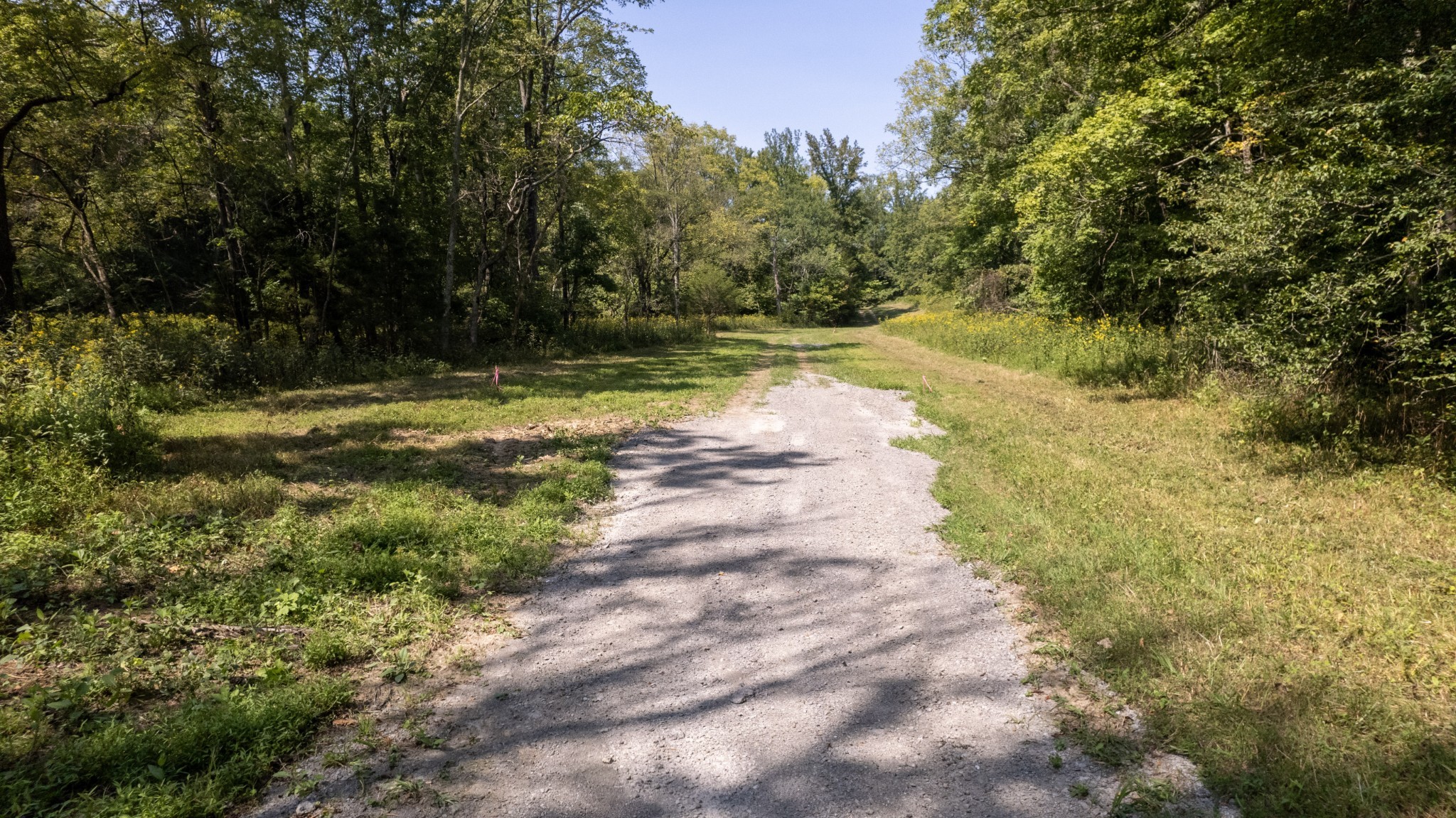 0 Scott Hollow Road Charlotte, TN 37036 - Photo 7 of 10 Gallery Image 7